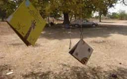
 - Agrandir l'image